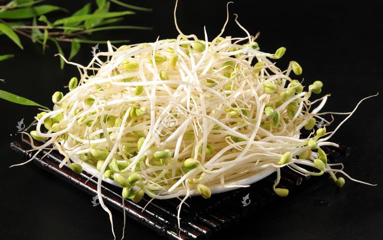 無公害綠色豆芽，怎么生產(chǎn)出來的？全套生產(chǎn)過程如此方便智能